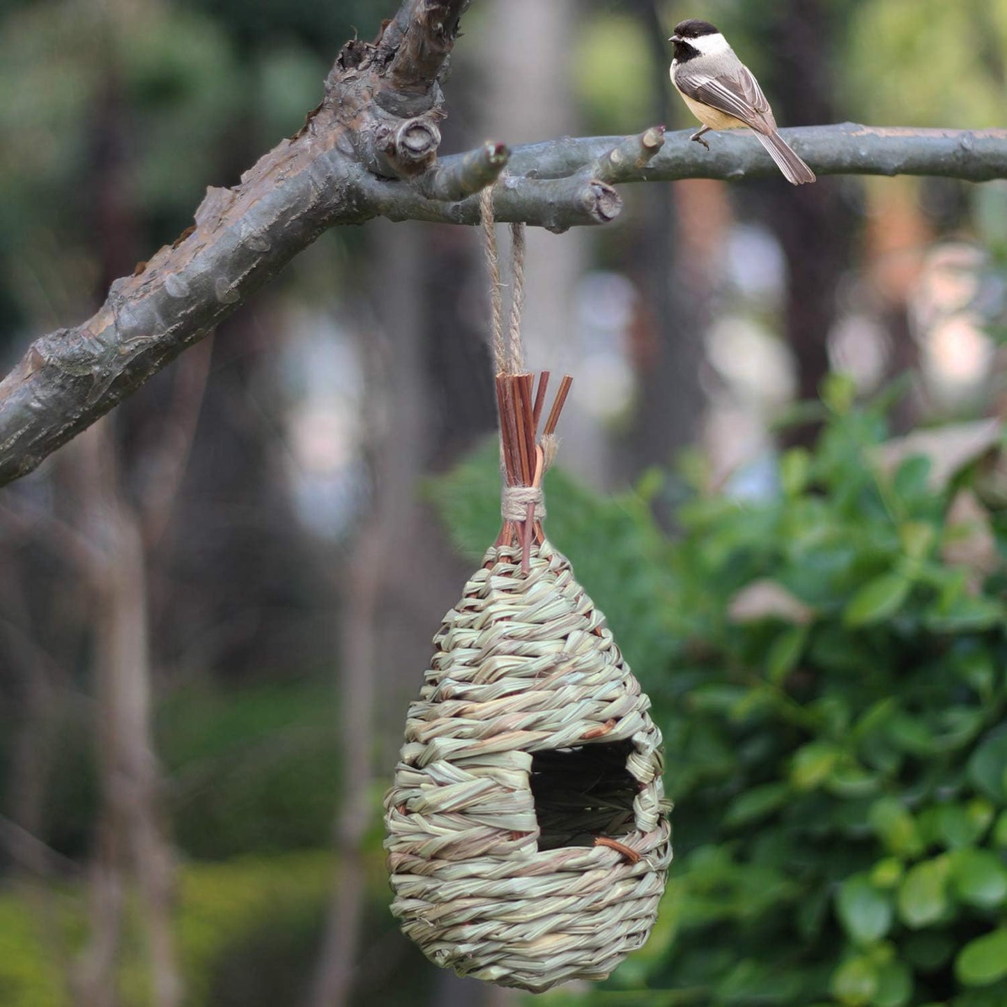 Bird House,Winter Bird House for outside Hanging,Grass Handwoven Bird Nest,Hummingbird House,Natural Bird Hut Outdoor,Birdhouse for Kids,Songbirds House